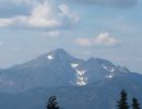 silverdaisy10