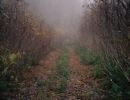 charlietrail11
