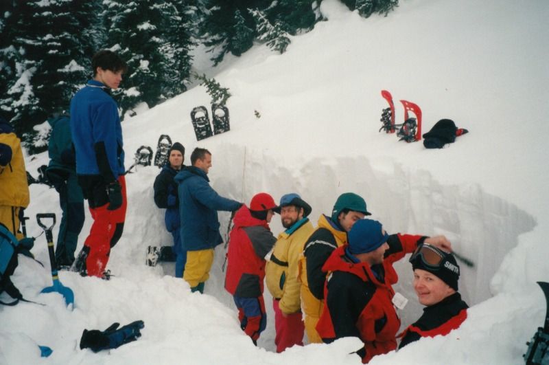 avichoursewhistler1