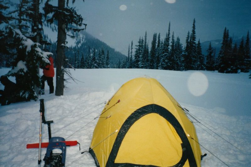 avichoursewhistler2