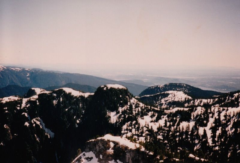 crown8