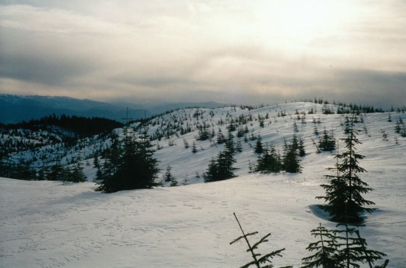 derorche2