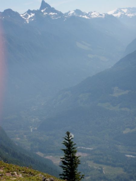 thurstenelk10