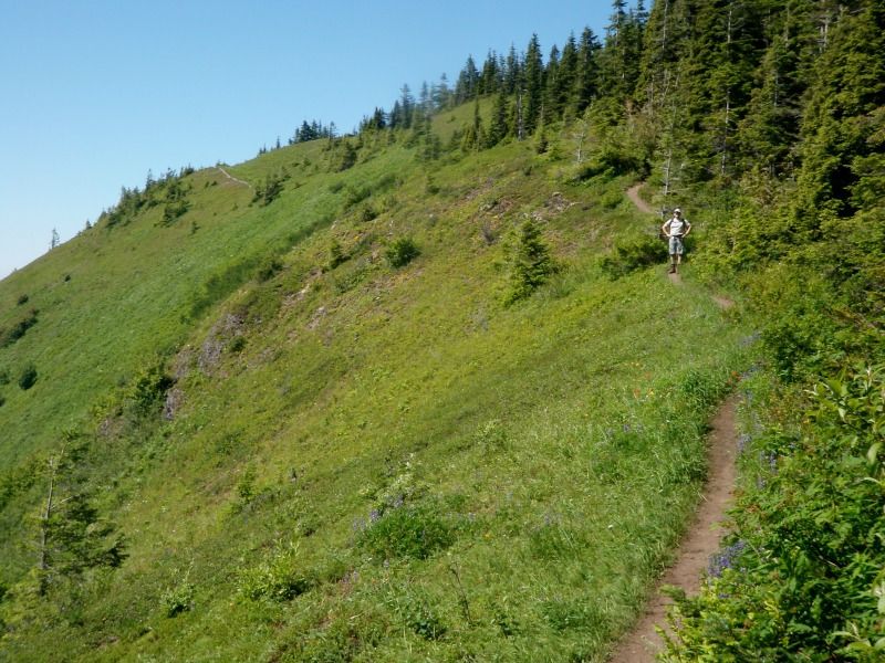 thurstenelk12
