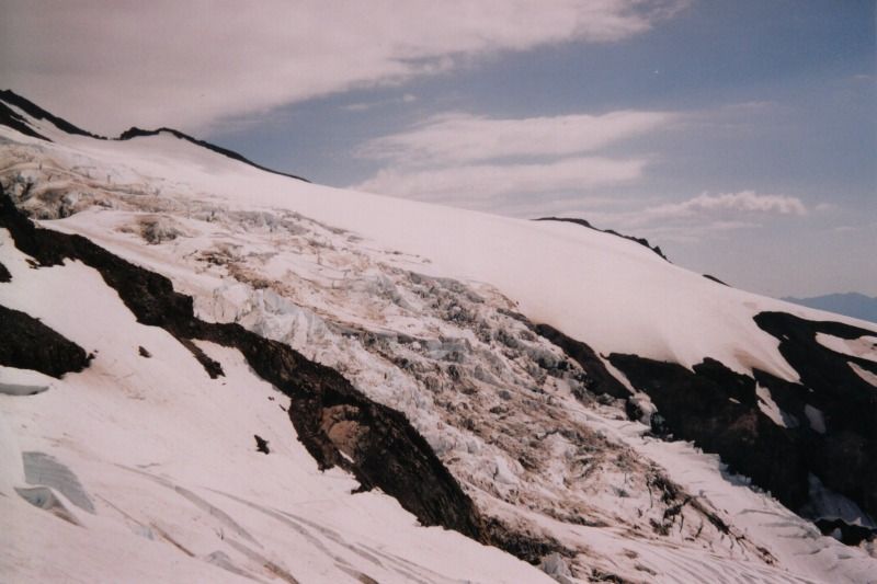 rainierk29