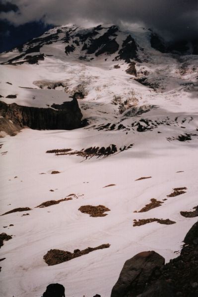 rainierk31