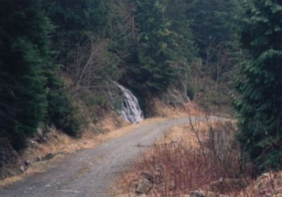 Mt. Daly 