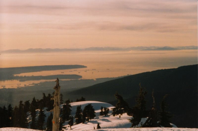 seymoursnow3