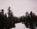 fromme6